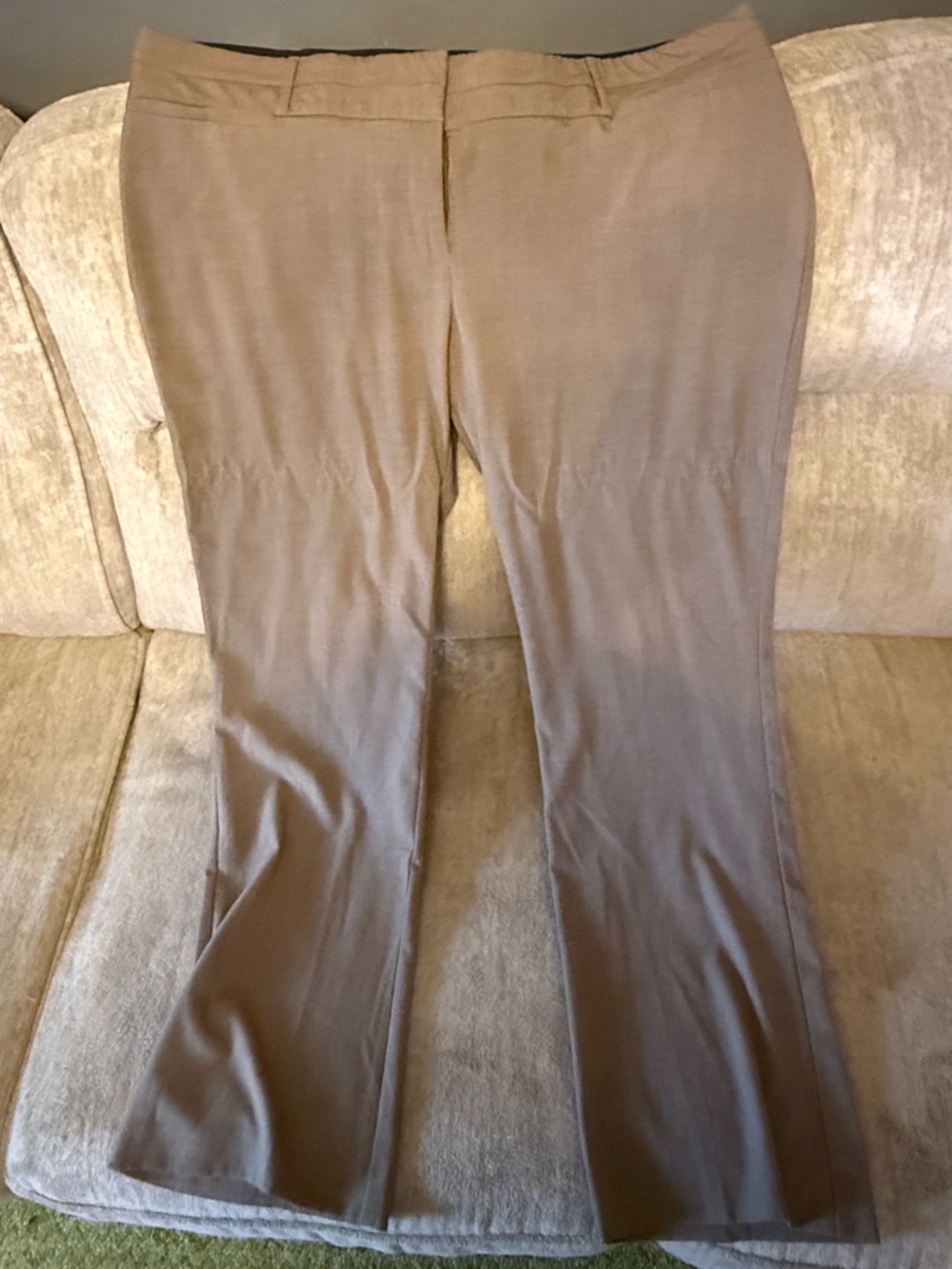 torrid Tan Stretch Flare Pants